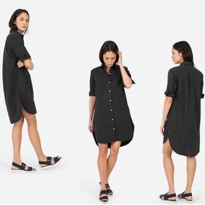 Everlane The Twill shirt dress